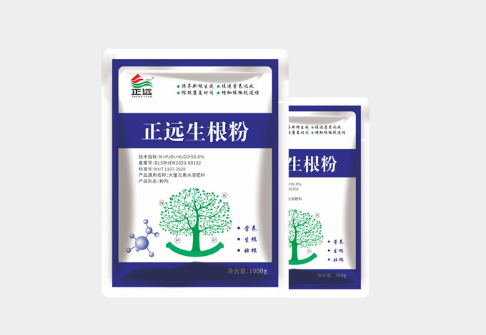 ��Զ������